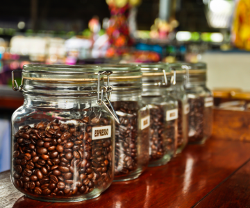 content writing by terri wilson