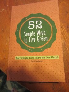 Terri Paajanen book cover